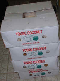 cococases.jpg (30749 bytes)
