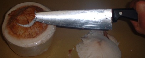 coconut6.jpg (18078 bytes)