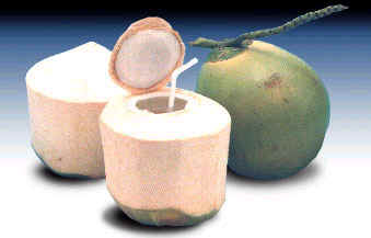 coconuts.jpg (221394 bytes)