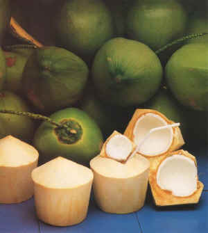 coconuty.jpg (36581 bytes)